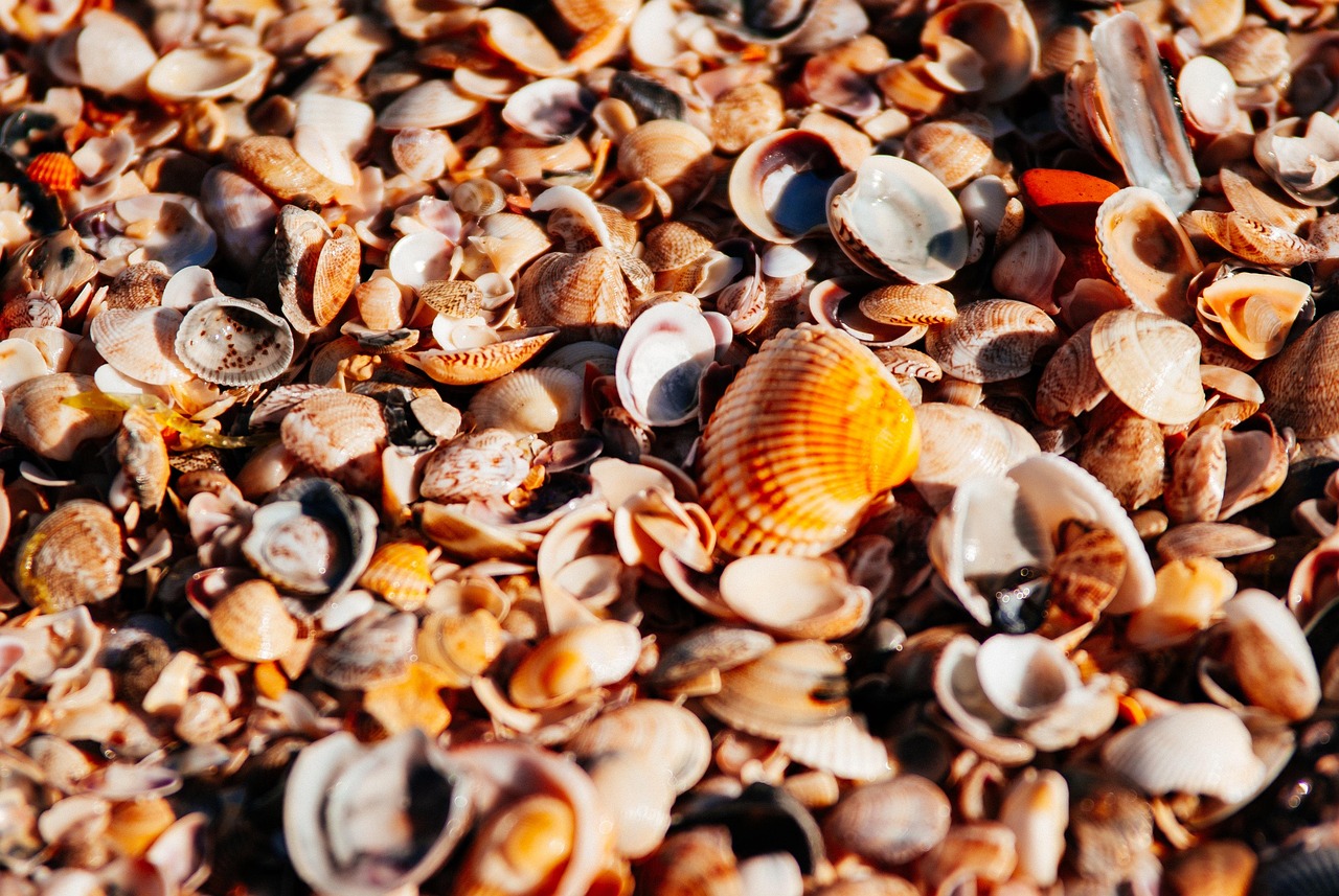 Read more about the article The careful reader guide to collecting reliable sources